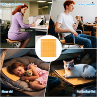 Coussin rafraîchissant réutilisable PCM, coussin auto-rafraîchissant, coussin de glace pour chaise, siège, lit pour animaux de compagnie