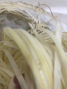 เปลือกหวายธรรมชาติสำหรับทำเฟอร์นิเจอร์และตะกร้า DIY - Product Image 3