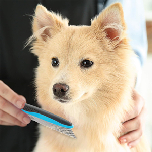 Peigne PET de qualité supérieure pour les zones de petites et grandes races Poignée confortable Poignée ergonomique Matériau ABS antidérapant Emballage en boîte de style simple - Product Image 6