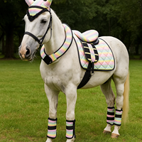 Ensemble de tapis de selle de haute qualité pour chevaux, en coton équestre premium, durable, pour l'équitation, l'entraînement et le dressage