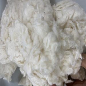 Coton peigné non filé blanchi, matériau de remplissage, antibactérien, respirant, écologique, coton brut (Mme Xavia +84 333371330) - Product Image 5