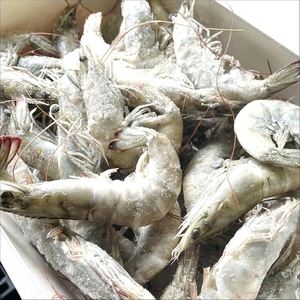 Camarones Rosa (Variedad Tigre Negro) Congelados, Procesados al Vacío (BQF), Precio al por Mayor por Kg, Exportación a Granel - Product Image 1