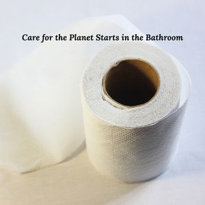 ม้วนกระดาษชำระ2ชั้นแบบใช้แล้วทิ้งเป็นมิตรกับสิ่งแวดล้อมซักได้และปลอดภัยต่อการติดเชื้อเยื่อไม้บริสุทธิ์จากเวียดนาม - Product Image 4