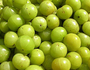 Amla (guisante indio) congelada en flash, conservada en su máxima frescura, ofrecida a granel para exportación, proporcionando una larga vida útil, un cítrico saludable. - Product Image 1
