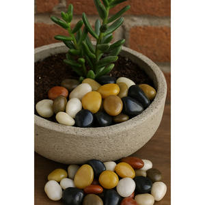 Fornitura all'ingrosso di ciottoli di pietra naturale ciottoli multicolore lucido 9-12mm pietra bianca 50 pezzi Per scatola - Product Image 1