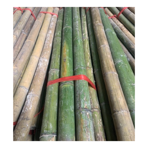 Durable, Natural, High-Grade Materials High Quality Natural Strong Straight Bamboo <b>Pole</b> <b>Gardening</b> From Vietnam - Product Image 6