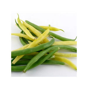 Proveedor Directo de Fábrica: Guisantes Verdes Congelados a la Venta, Vegetales de Guisantes de Primera Calidad, Ingredientes de Calidad de Exportación, Guisantes Congelados Verdes - Product Image 3