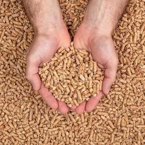 Granulés de bois de qualité supérieure A1 Enplus, granulés de bois en vrac, granulés de bois d'eucalyptus en gros, prêts à l'exportation - Product Image 2