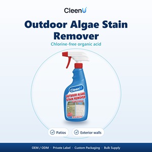 Spray Rimuovi Alghe 500ml Senza Cloro, Detergente per Macchie Nere e Alghe per Patio, Terrazze in Legno, Muri, Recinzioni, Paesaggistica - OEM Ingrosso - Product Image 1
