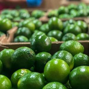 Limón/Lima sin Semillas Frescas de Vietnam, Ricas en Nutrientes - Product Image 4