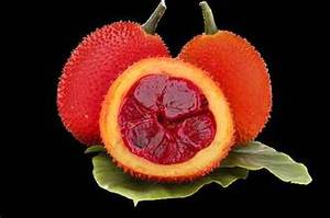 ผง Gac ที่มีส่วนผสมจากพืชสำหรับการสนับสนุนสารต้านอนุมูลอิสระและความมีชีวิตชีวา - Product Image 2