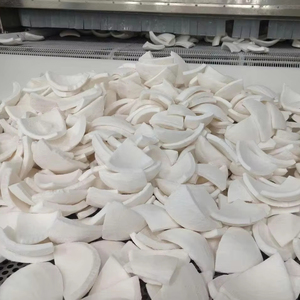 Viandes de noix de coco surgelées d'origine vietnamienne, fournisseur principal en gros, 2025 Offre Spéciale // Disponible en plusieurs formes - Product Image 1