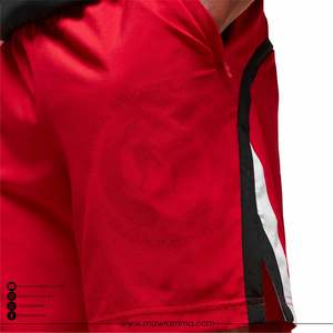 Pantalones Cortos de Grappling Pro MMA, Elásticos en 4 Direcciones, para BJJ No-Gi, Ligeros, Transpirables, Reforzados, de Secado Rápido, Antiencogimiento, para Gimnasio - Product Image 2