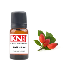 Kanha Nature Oils Calidad Premium Fabricante indio ROSE HIP OIL Aceite esencial puro para el cuidado del cabello y el aclaramiento Semillas al por mayor - Product Image 4