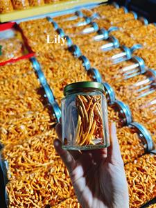 Champignon fonctionnel Cordyceps Militaris Ingrédient en vrac pour capsules et thé/lys - Product Image 2