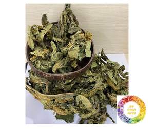 Hojas de papaya secas al mejor precio, Té natural de alta potencia cortado de granjas de Vietnam, hojas de papaya secas puras para té refrescante - Product Image 3