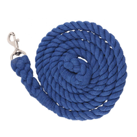 Laisse colorée pour animaux de compagnie de luxe faite à la main de 5 pieds Accessoires personnalisés pour petits et moyens animaux de compagnie Fabricant solide
