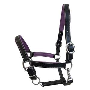 Fabriqué à la main Western Selle Style Cuir Cheval Halter Forte Confortable Quotidien Équitation Tête Collier Personnalisé Couleur Logo Fait - Product Image 4
