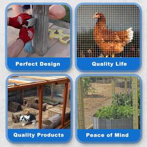 OEM PVC Kaplı Çelik Kaynaklı Tel Örgü Ruloları Üreticisi Tavuk Kümesi Çiftlik Çiti Kare Delikli Yeşil Bahçe Hayvan Barınağı Ruloları - Product Image 6