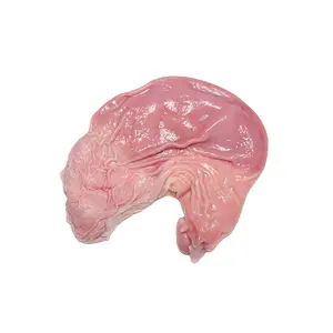 Compre estómago de intestino delgado de cerdo congelado | Vientre de cerdo a la venta | Proveedor y exportador mayorista de intestino grueso de cerdo congelado