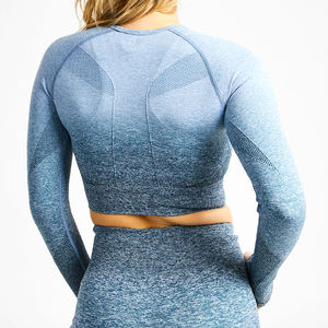 Mujeres Fitness Yoga Ropa Gimnasio Manga larga Crop Top Entrenamiento Logotipo personalizado Ropa atlética High Stretch Crop Tops - Product Image 2