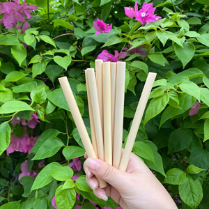 Pajitas de bambú ecológicas y compostables con logotipo de pajitas de bambú para beber con láser grabado y embalaje personalizado para regalo,... - Product Image 1
