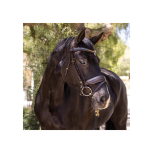 It & astermart-Kit de herramientas de diagnóstico para coche, juego de herramientas de decoración de coche, de diferentes colores - Product Image 1