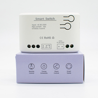 Contrôleur de porte de garage intelligent WiFi Ewelink F0704 - Module relais 1CH 85-250V sans USB, télécommande 433 MHz, commande vocale Alexa sans RF