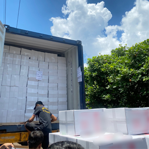 Fábrica directamente Santigo Factory Vietnam W240 A180 W320 1Kg Muestra de anacardos orgánicos con embalaje personalizado - Product Image 2