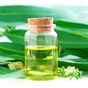 100% pure eucalyptus citrodora <b>Essential</b> <b>Oil</b> Wholesale Bulk eucalyptus citrodora <b>Essential</b> <b>Oil</b> Natural and Pure eucalyptus <b>oil</b> - Product Image 2