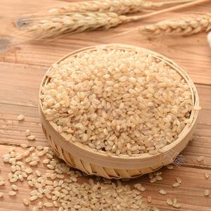 น้ำมันมะพร้าวบริสุทธิ์สำหรับนวดตัวสารสกัดจากธรรมชาติเกรดสปาบำรุงผิวดูแลเส้นผมฉลากส่วนตัว - Product Image 1