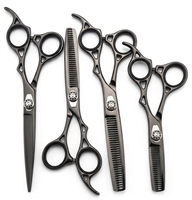 Ciseaux de coiffure professionnels en titane, ciseaux de salon, ciseaux de barbier, ensemble de ciseaux à peigne, finition texturée, outils de coupe et de toilettage