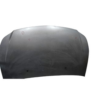 CAPÓ DELANTERO FIAT Sedici 2ª Serie 71742873 (09>) - Product Image 4