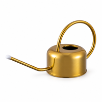 Arrosoir en métal de 700 ml avec long bec verseur pour plantes d'intérieur, or, noir et argent, logo personnalisé