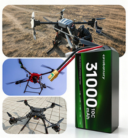 Аккумуляторная ячейка для FPV-дронов 3.7V 31000mAh 326Wh/kg с высокой плотностью энергии для длительных полетов