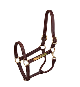 Halter professionnel en cuir avec plaque licou de cheval licou de cheval western avec peu plié - Product Image 4