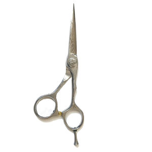 Barber Razor Edge Ciseaux De Coupe De Cheveux Ciseaux Couleur Argent Coiffure Élégant Salon De Coiffure Ciseaux Avec Vis Réglable - Product Image 6