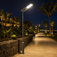 Lampe solaire de rue 40W, ensemble complet avec batterie lithium LiFePo4 externe sous panneau solaire pour utilisation en extérieur