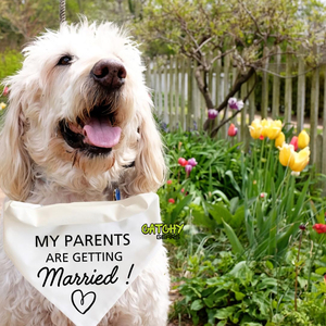 Personnalisé 100% Polyester Sublimation Pet Chien Bandana Personnalisé Imprimé Pet Bandanas Collier Blanc Blanc Chien Chiot Écharpe - Product Image 5