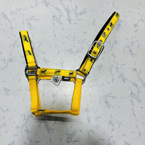 Catégorie de produit Licou de cheval en nylon à vente rapide avec décoration de ruban et rembourrage Neo Buck pour licous confortables - Product Image 4