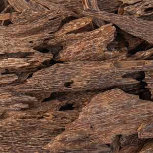 Materia Prima de Agarwood para Uso en Carbón Vegetal - Product Image 6