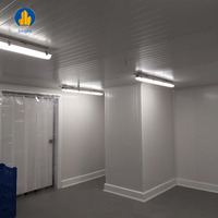 Chambre froide/pièce commerciale de congélateurs de pièce d'entreposage au froid pour la viande et les légumes