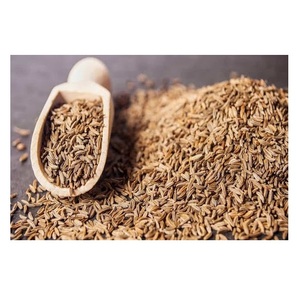 เมล็ดยี่หร่าอบแห้งพรีเมียม – เครื่องเทศยี่หร่าธรรมชาติสำหรับปรุงอาหาร ปรุงรส และแปรรูปอาหาร - Product Image 2