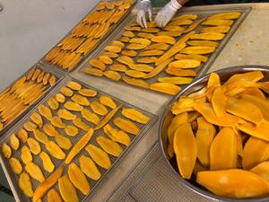 Hot Sale Soft Dried Mango <b>Best</b> Quality and Premium Export Grade Dried Mango - Ms. Esther - Product Image 1