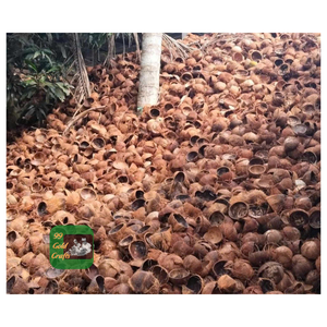 COQUES DE NOIX DE COCO NATURELLE MATIÈRE PREMIÈRE POUR L'ARTISANAT DE CARBONE ACTIF ET L'EXPORTATION INDUSTRIELLE DU VIETNAM - Product Image 6