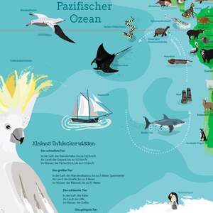 Póster de Mapa del Mundo XXL para Niños, Colorido, Nuestro Mundo - Product Image 4