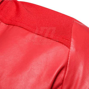 Veste en cuir pour homme de haute qualité, faible MOQ, veste en cuir pour homme, nouvelle arrivée d'hiver, veste en cuir pour homme - Product Image 4