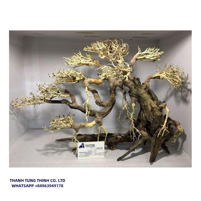 ธรรมชาติ