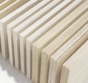 Contrachapado de Abedul Impermeable con Núcleo de Goma, Estándar E0, de 9-12-15-18-21 mm, Personalizado para Decoración de Muebles de Interior, para Sala de Estar y Dormitorio - Product Image 1