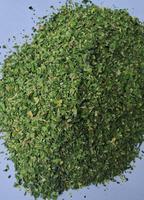 Fabricant et exportateur de capsules de moringa à base de plantes sous forme de poudre emballées dans un tambour et une bouteille en Inde
